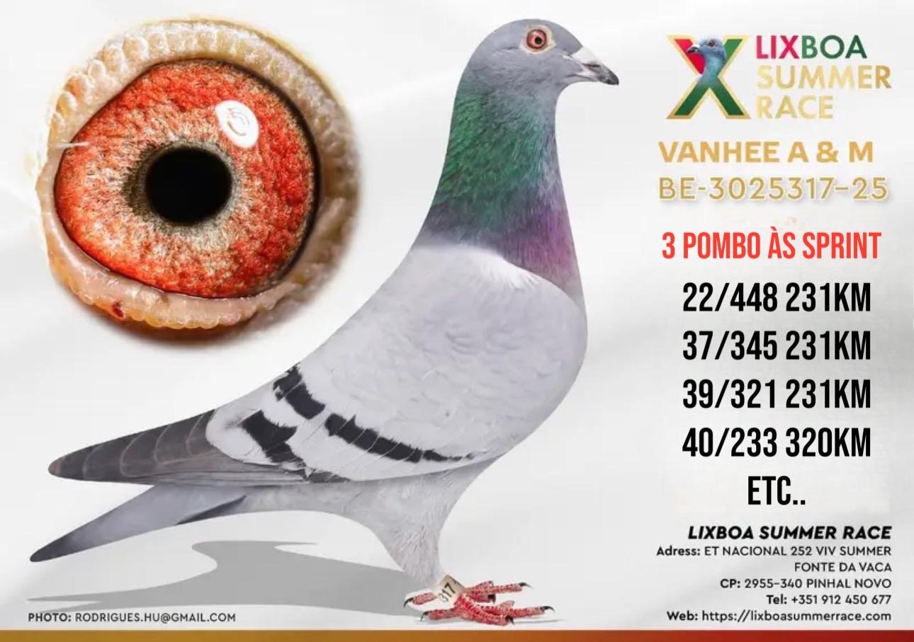 BE-3025317-25-C BE-3025317-25 - Image 1