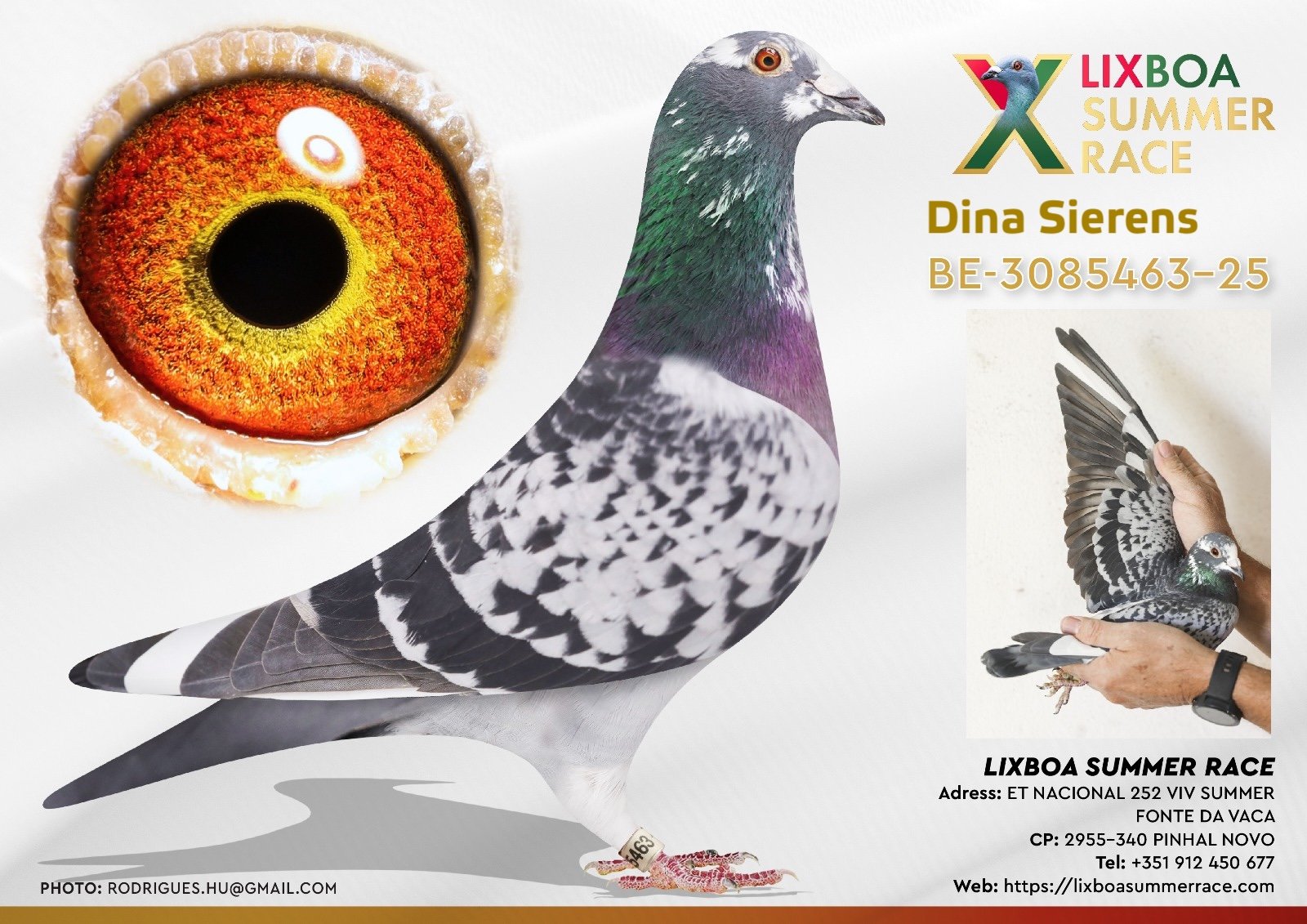 BE-3085463-25 BE-3085463-25 - Image 1