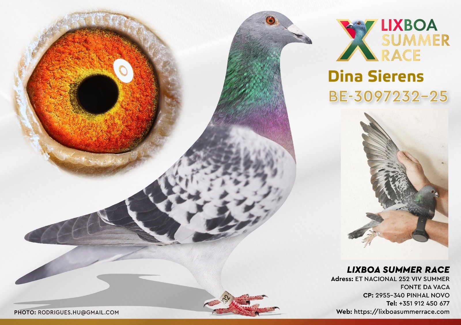 BE-3097232-25 BE-3097232-25 - Image 1