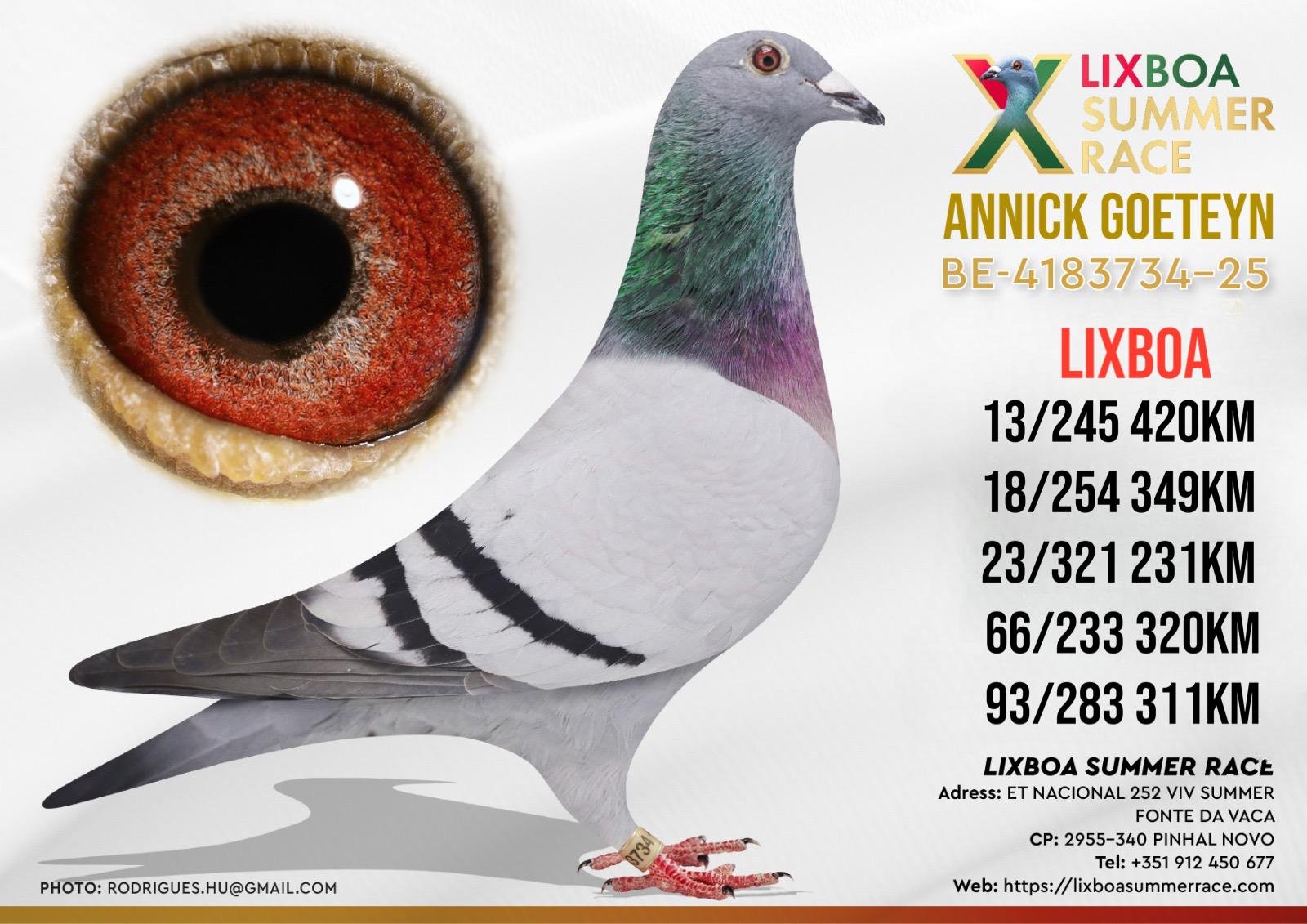 BE-4183734-25 - N BE-4183734-25 - Image 1