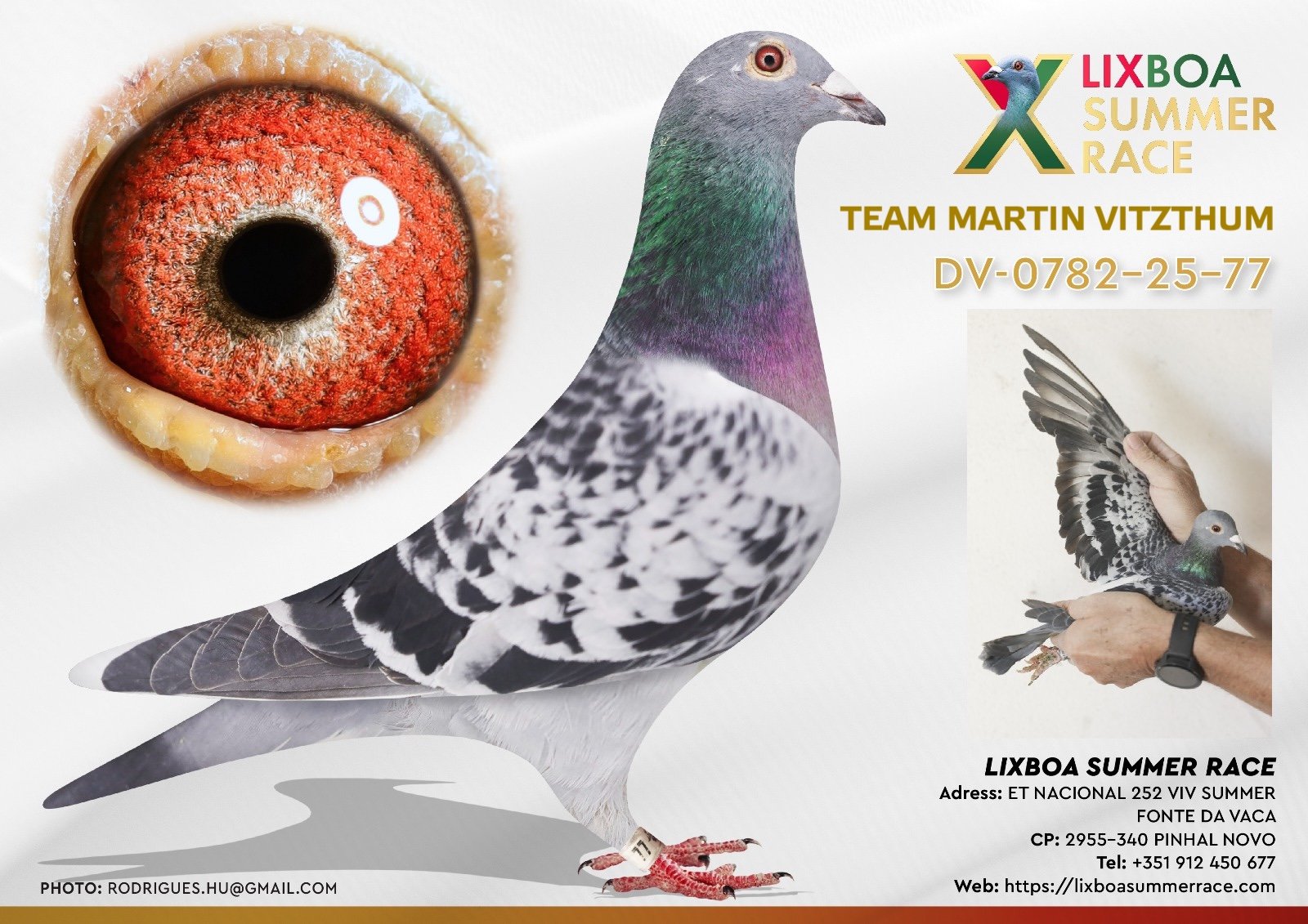 DV-0782-25-77 DV-0782-25-77 - Image 1