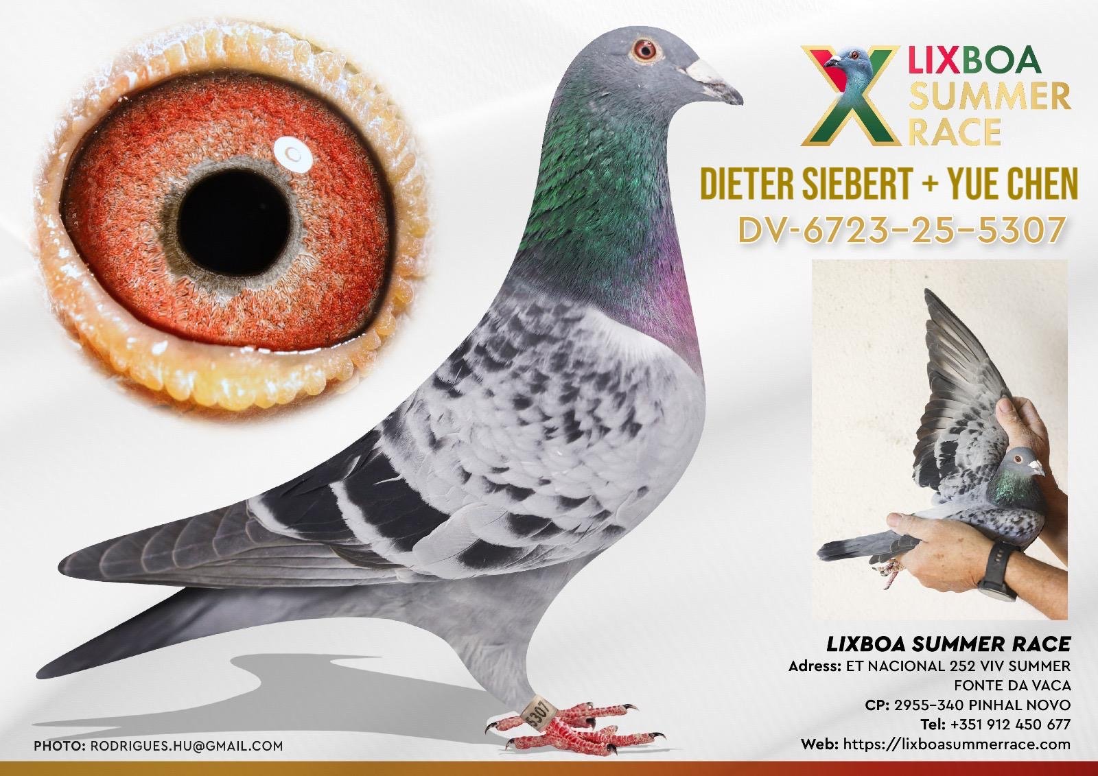 DV-6723-25-5307 DV-6723-25-5307 - Image 1