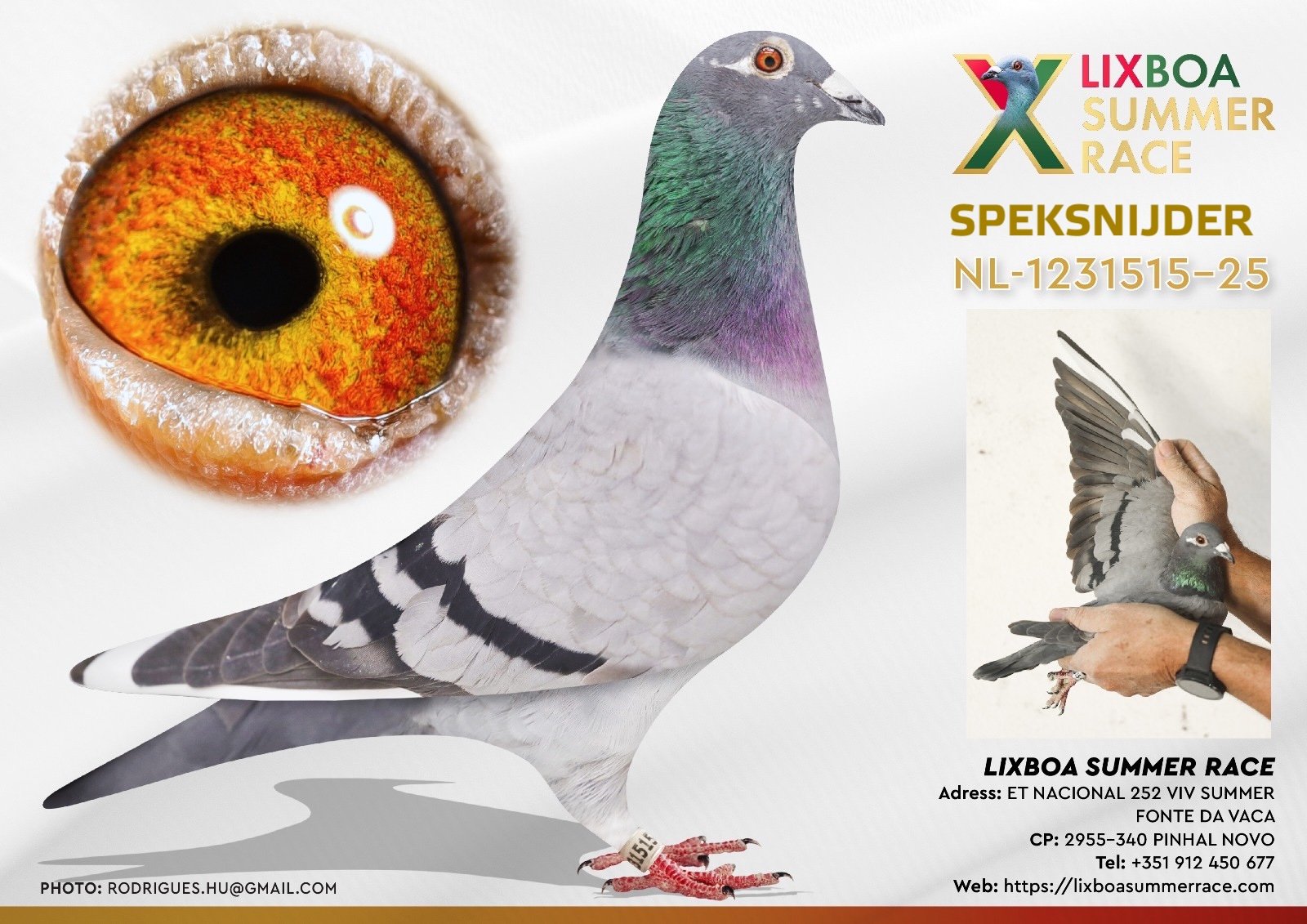 NL-1231515-25 NL-1231515-25 - Image 1