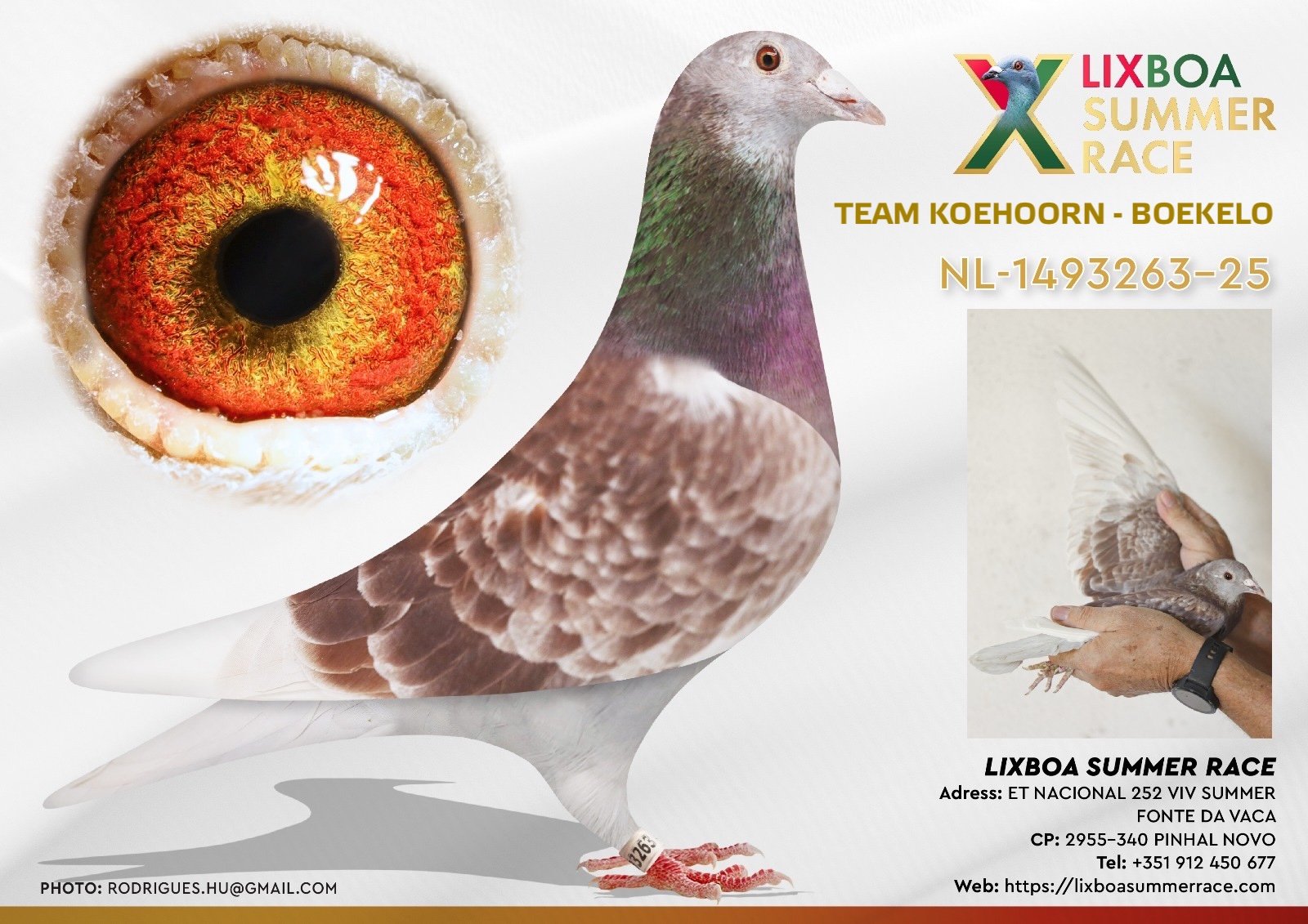 NL-1493263-25 NL-1493263-25 - Image 1