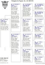 NL-1507478-25 - Image 2