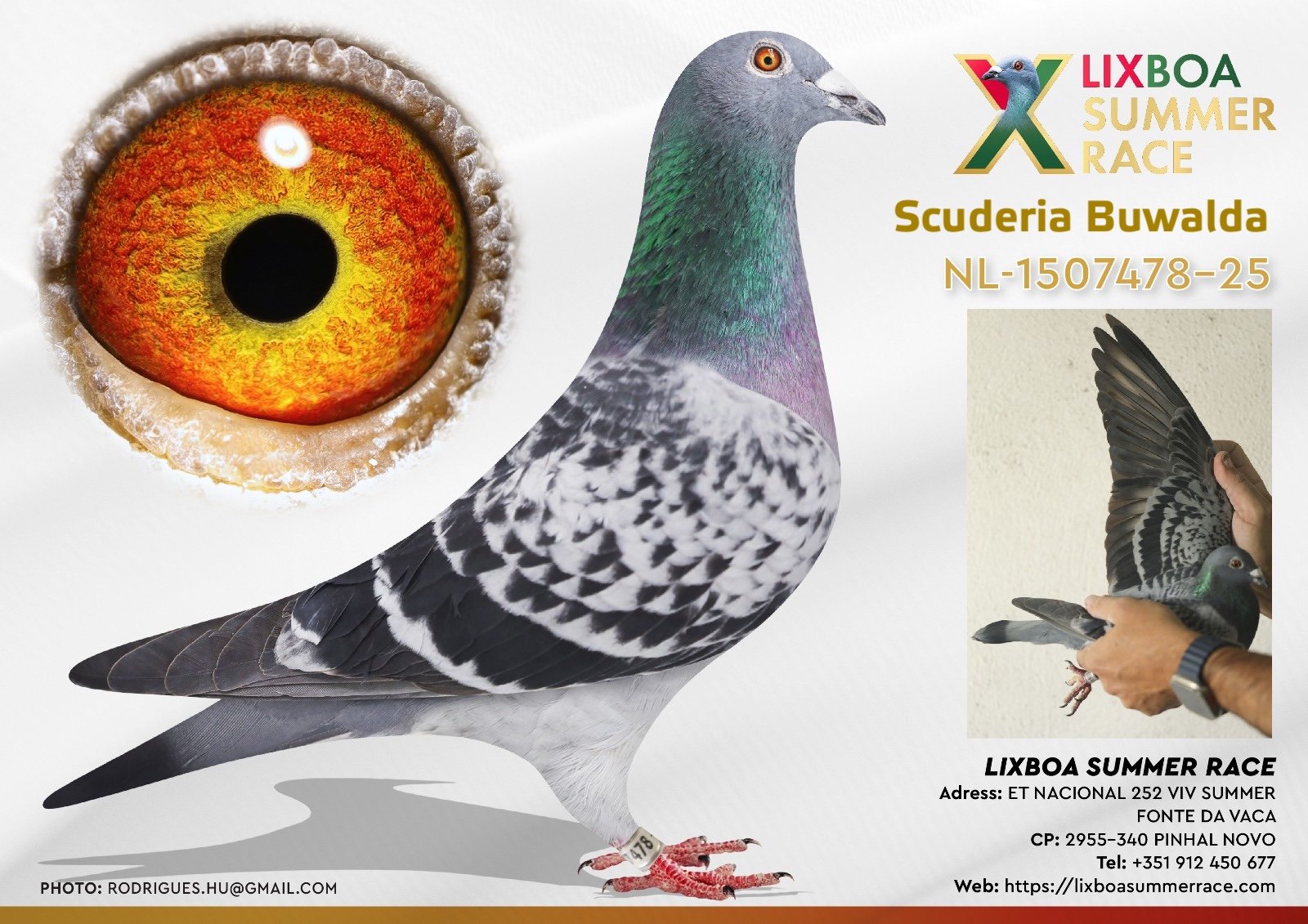 NL-1507478-25 NL-1507478-25 - Image 1