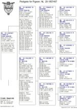 NL-1507497-25 - Image 2