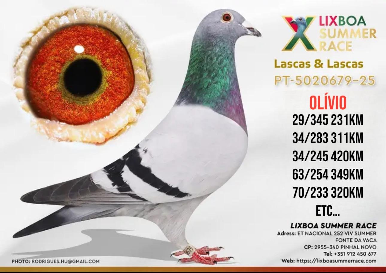 PT-5020679-25-N PT-5020679-25 - Image 1