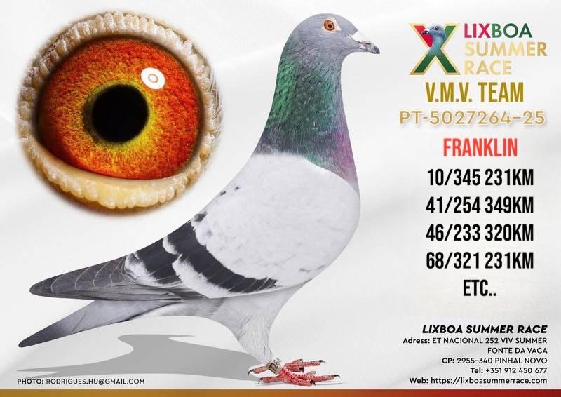 PT-5027264-25-C PT-5027264-25 - Image 1