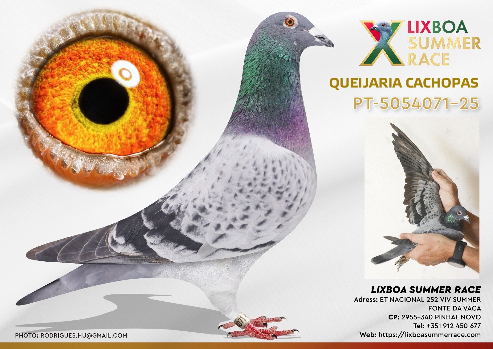 PT-5054071-25 PT-5054071-25 - Image 1