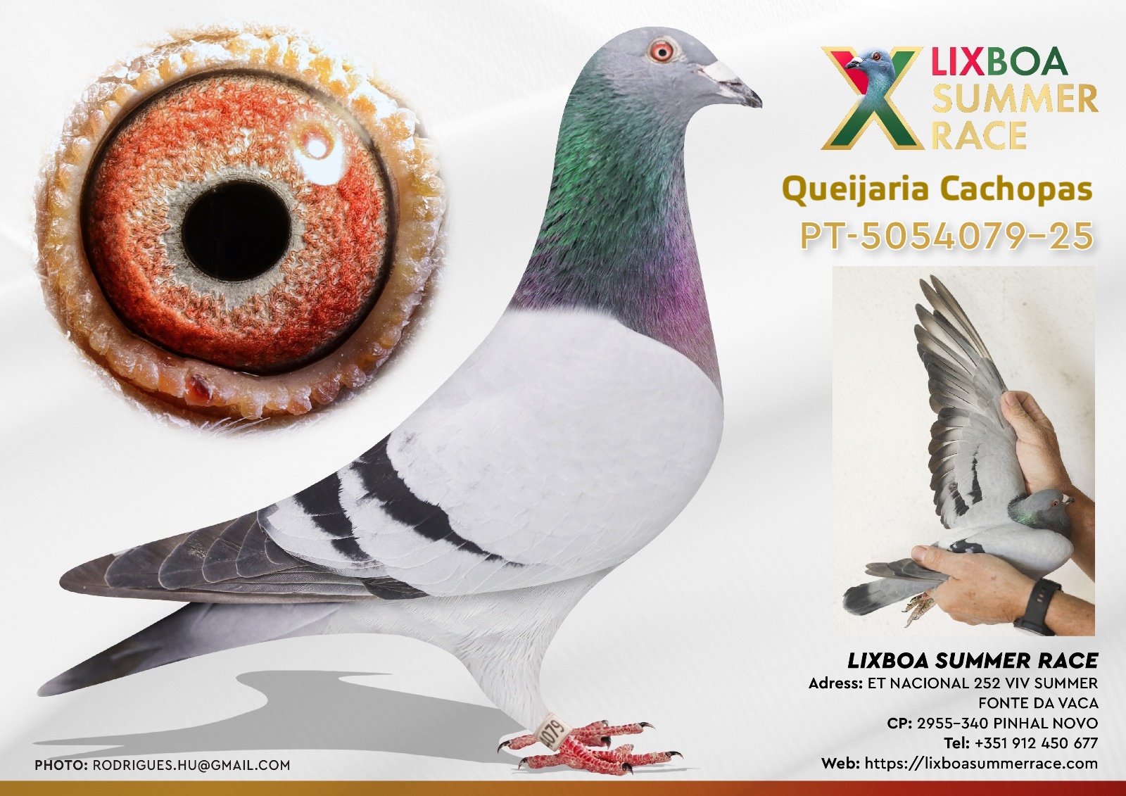 PT-5054079-25 PT-5054079-25 - Image 1