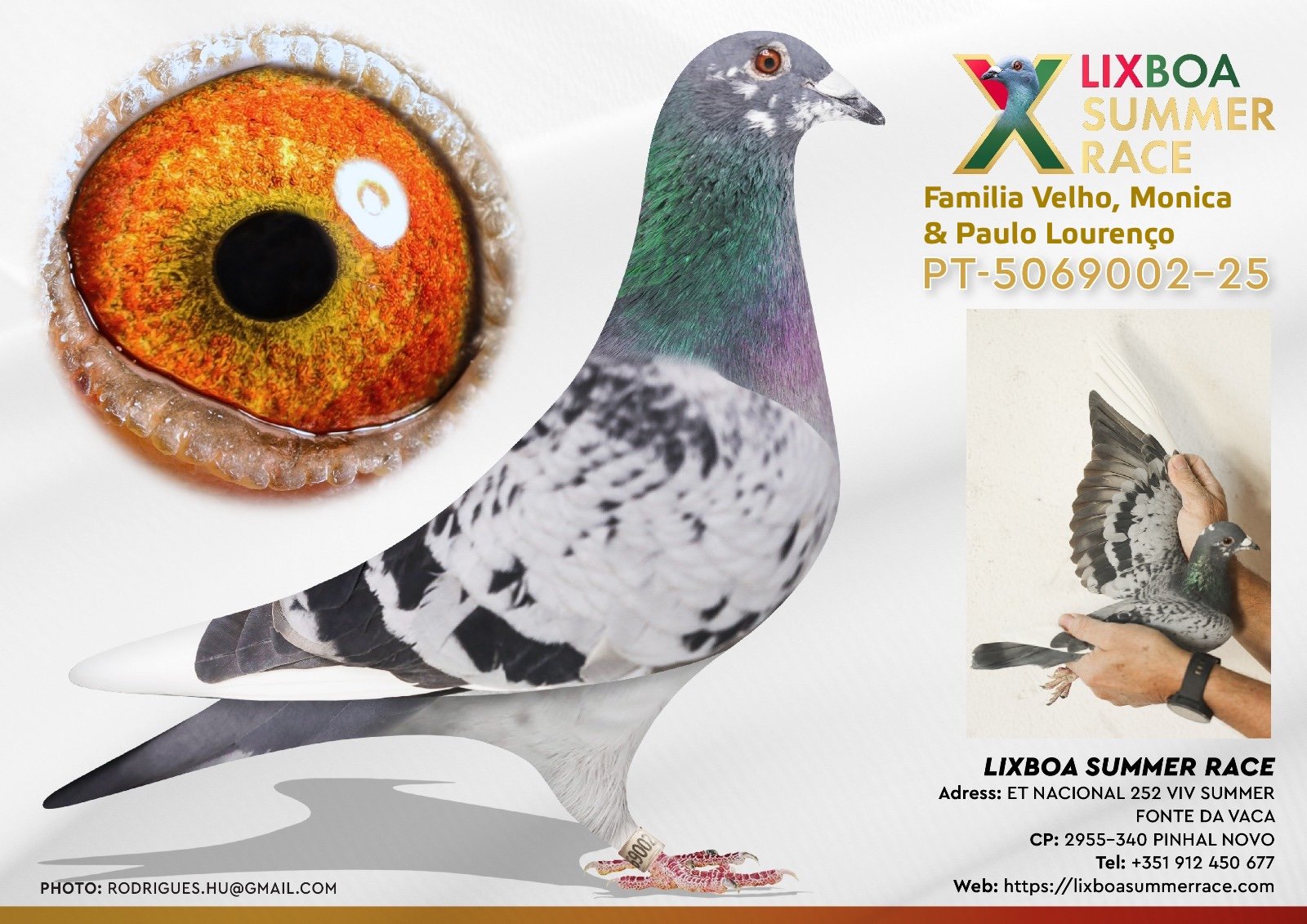 PT-5069002-25 PT-5069002-25 - Image 1