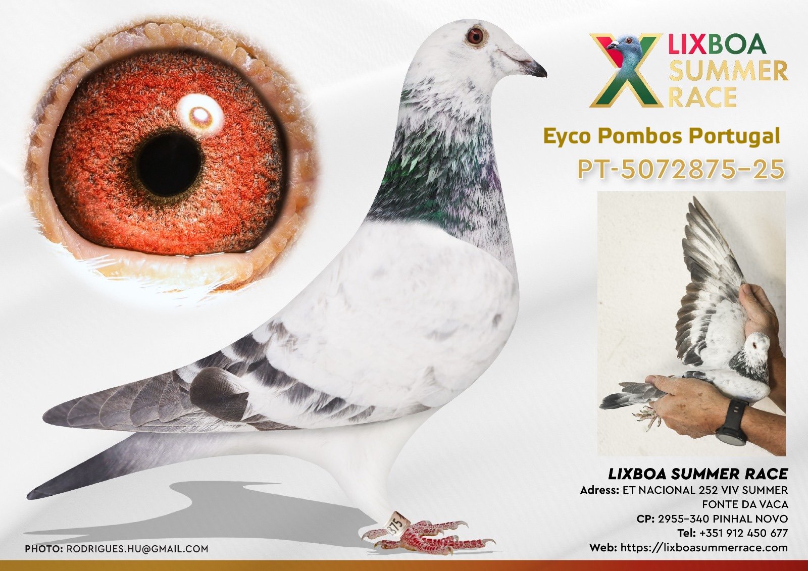 PT-5072875-25 PT-5072875-25 - Image 1