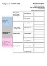 PT-5076001-25 - Image 2