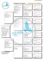 PT-5178821-25 - Image 2