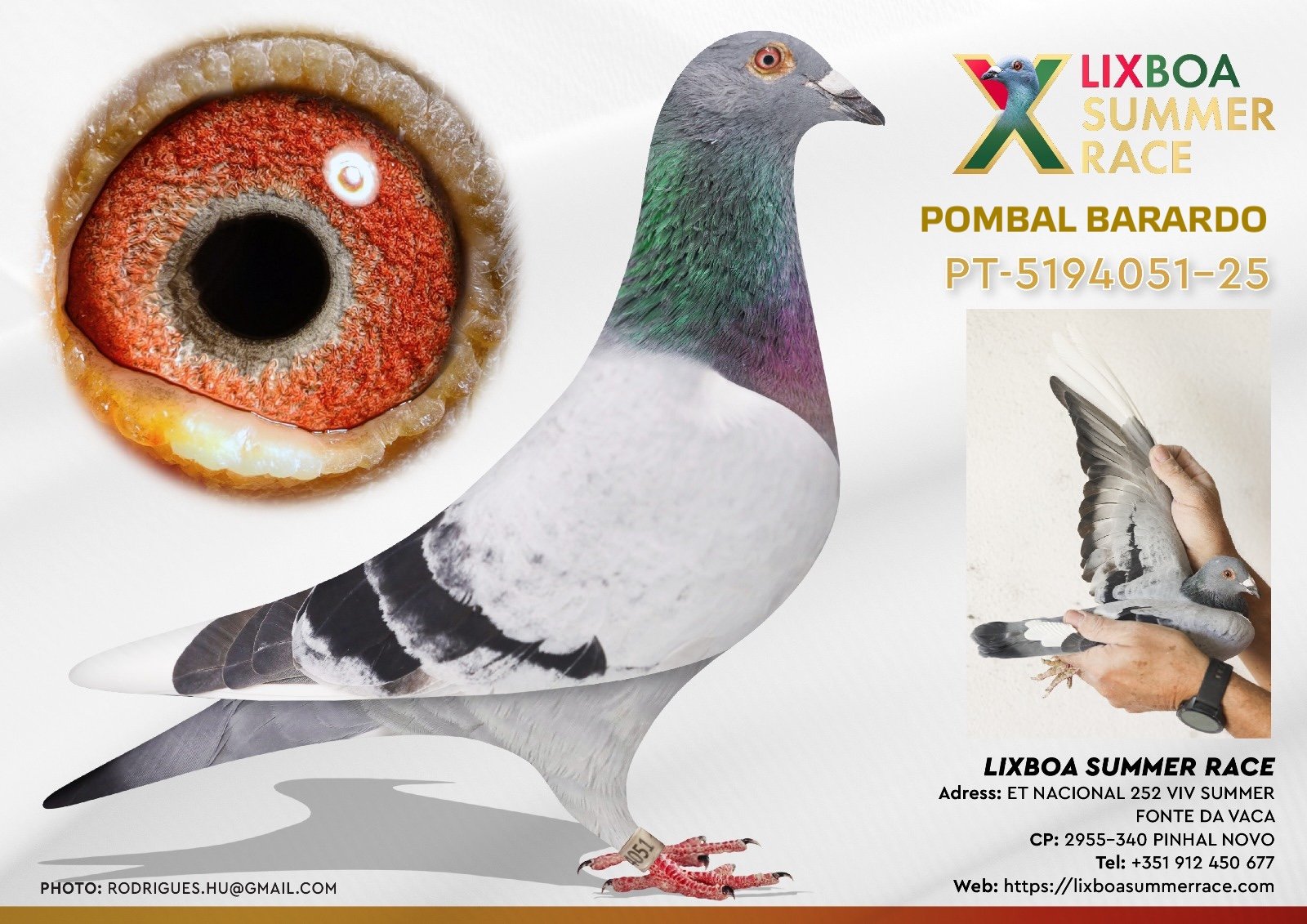 PT-5194051-25 PT-5194051-25 - Image 1