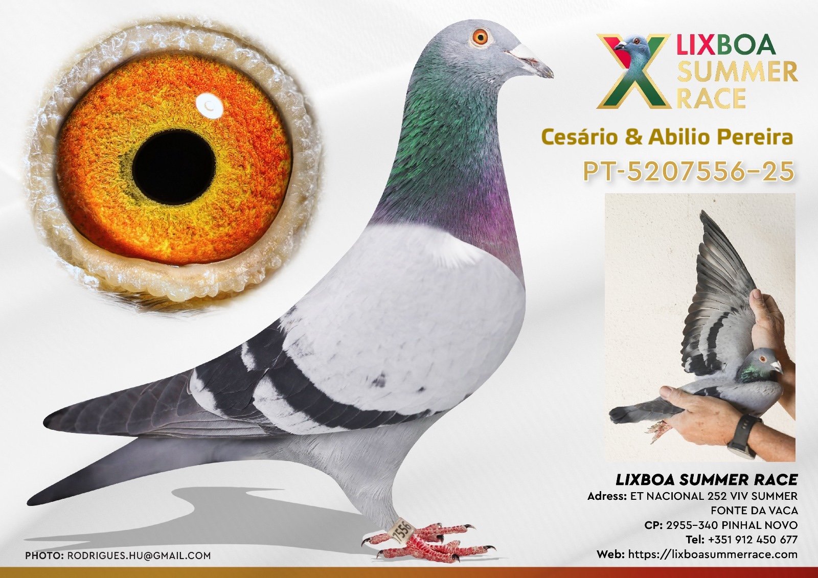 PT-5207556-25 PT-5207556-25 - Image 1