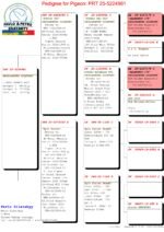 PT-5224961-25 - Image 2