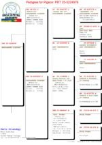 PT-5224976-25 - Image 2