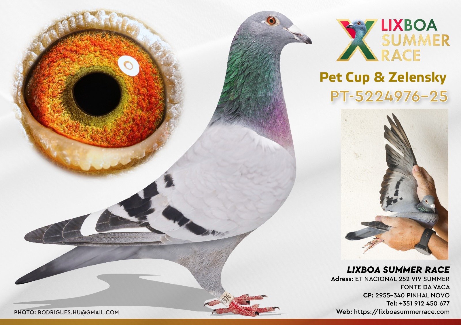 PT-5224976-25 PT-5224976-25 - Image 1