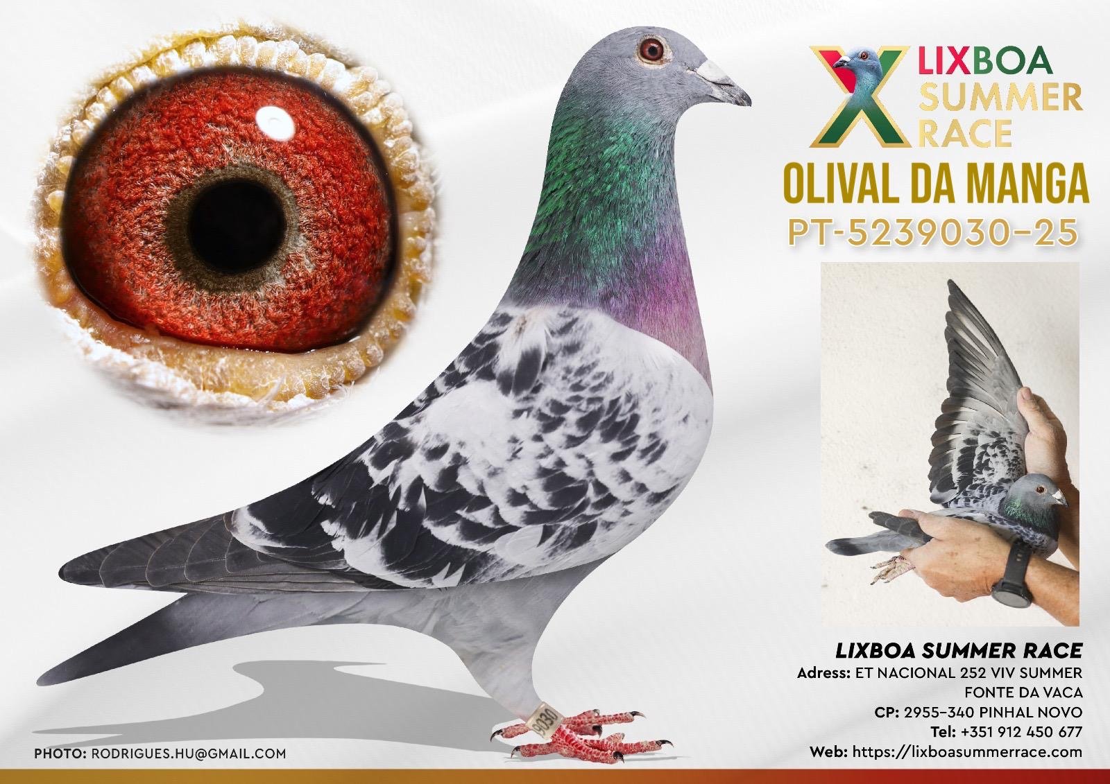 PT-5239030-25 PT-5239030-25 - Image 1