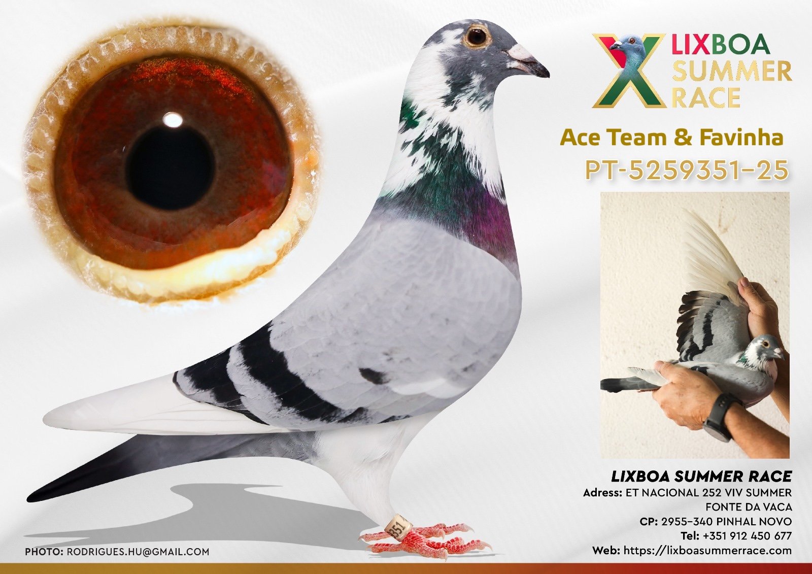 PT-5259351-25 PT-5259351-25 - Image 1