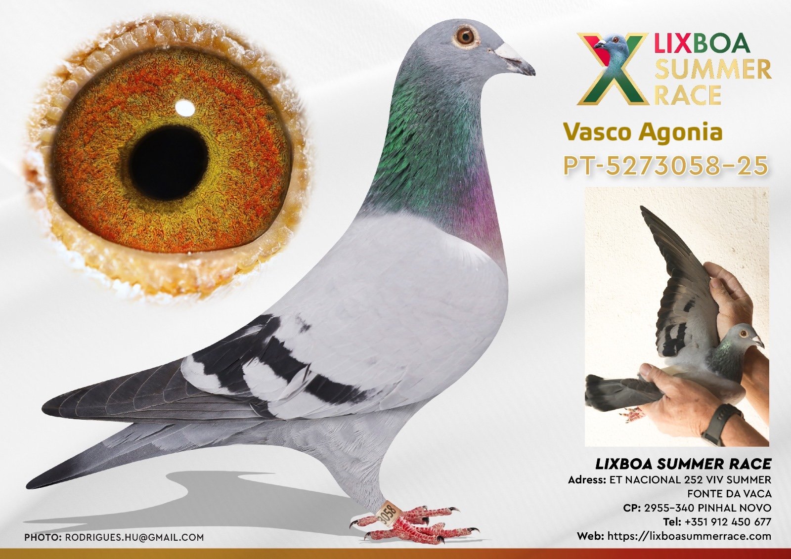 PT-5273058-25 PT-5273058-25 - Image 1