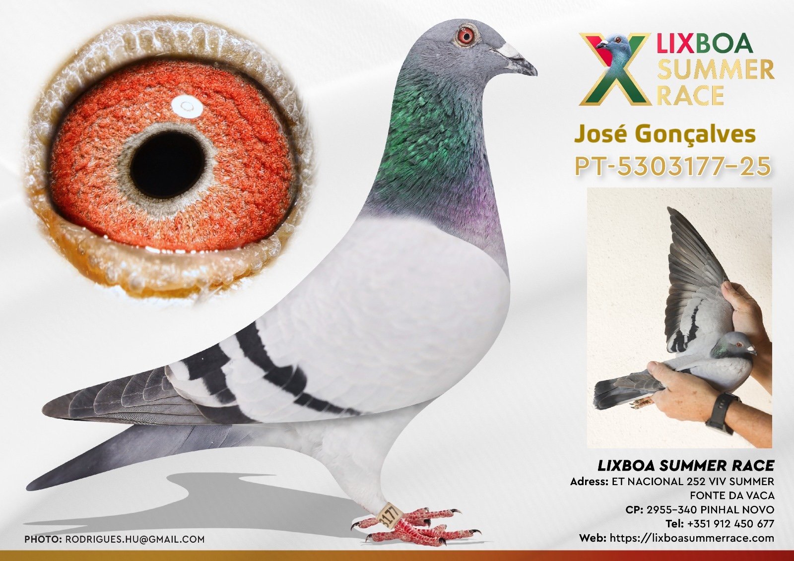 PT-5303177-25 PT-5303177-25 - Image 1