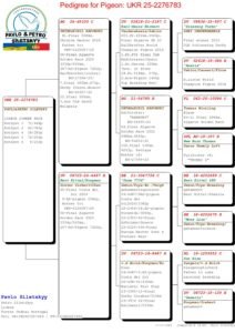 UKR-2276783-25 - Image 2