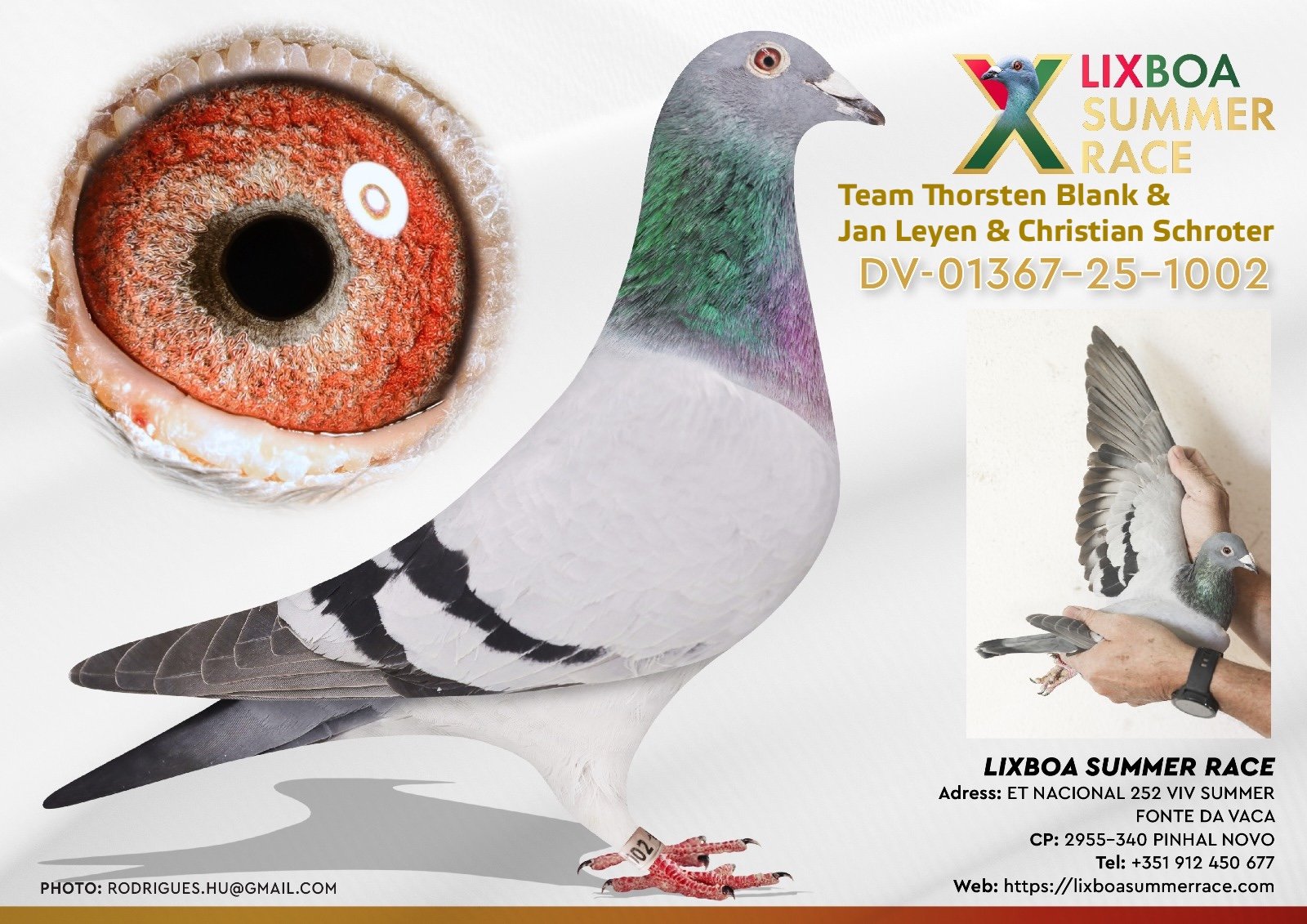 DV-01367-25-1002 DV-01367-25-1002 - Image 1