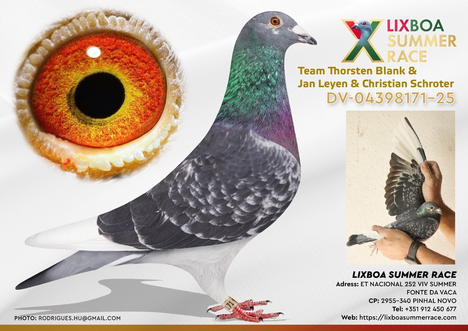 DV-04398-171-25 DV-04398-171-25 - Image 1