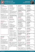 DV-04398-171-25 - Image 2