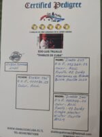 ES-111170-25 - Image 2