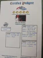 ES-111178-25 - Image 2