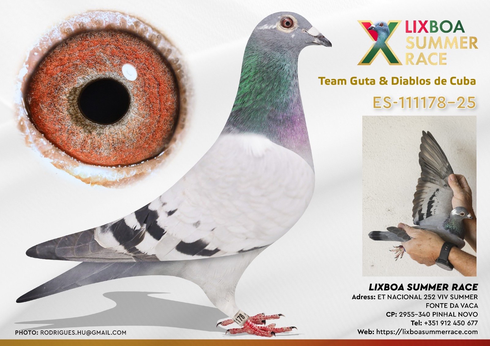 ES-111178-25 ES-111178-25 - Image 1