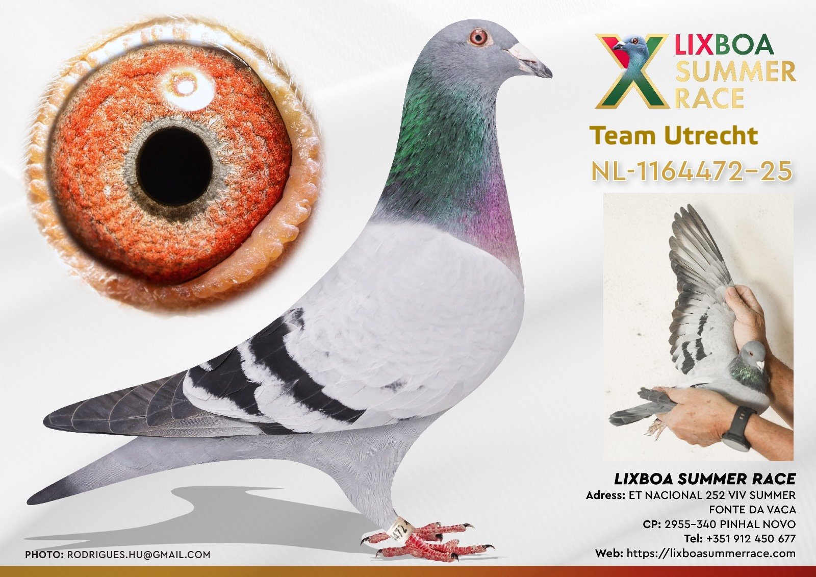 NL-1164472-25 NL-1164472-25 - Image 1