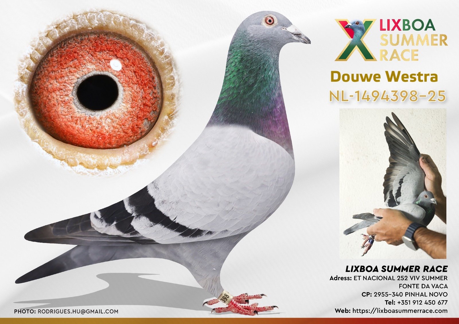 NL-1494398-25 NL-1494398-25 - Image 1