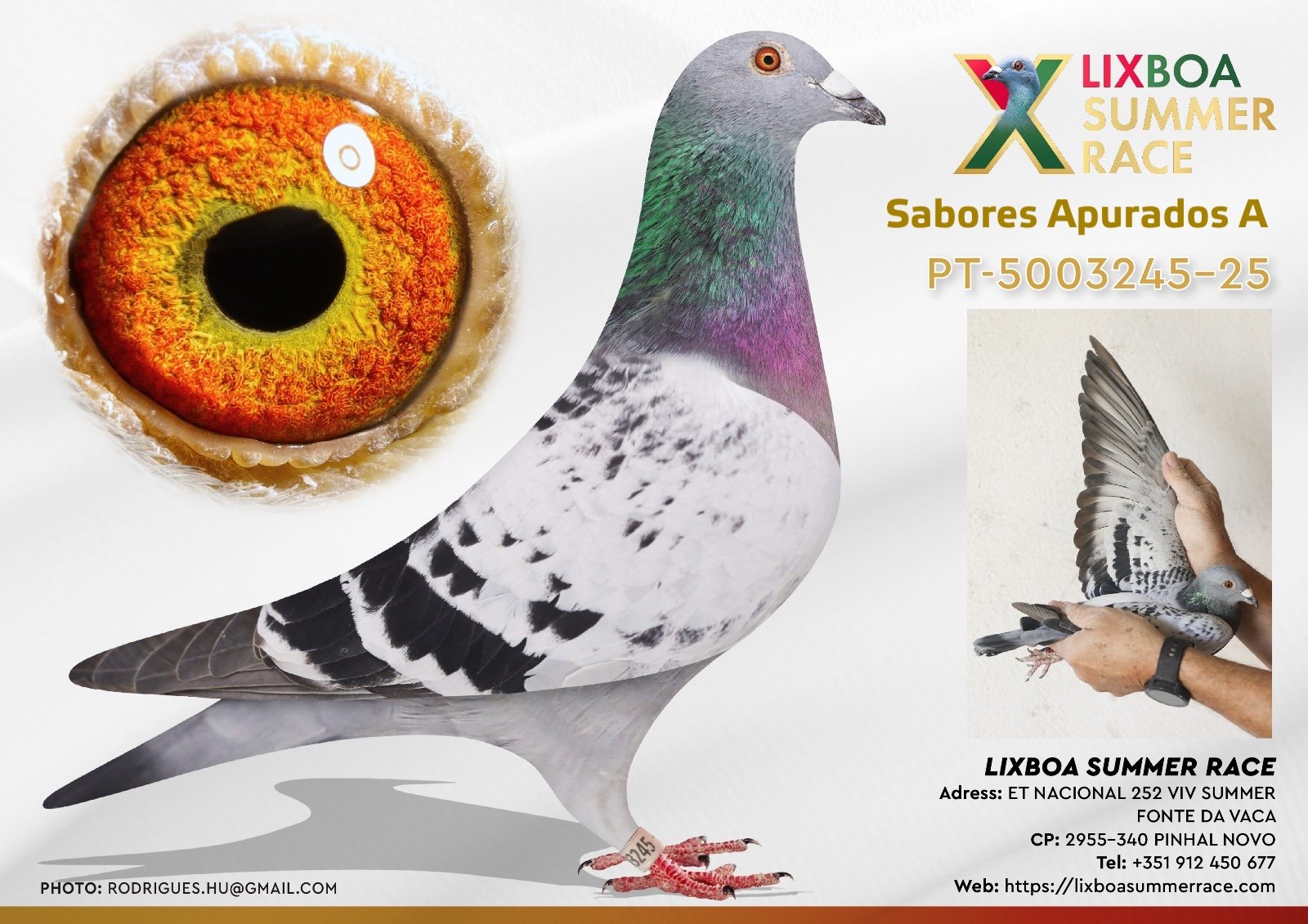 PT-5003245-25 PT-5003245-25 - Image 1