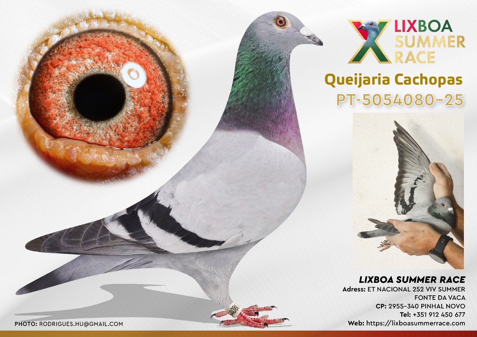 PT-5054080-25 PT-5054080-25 - Image 1