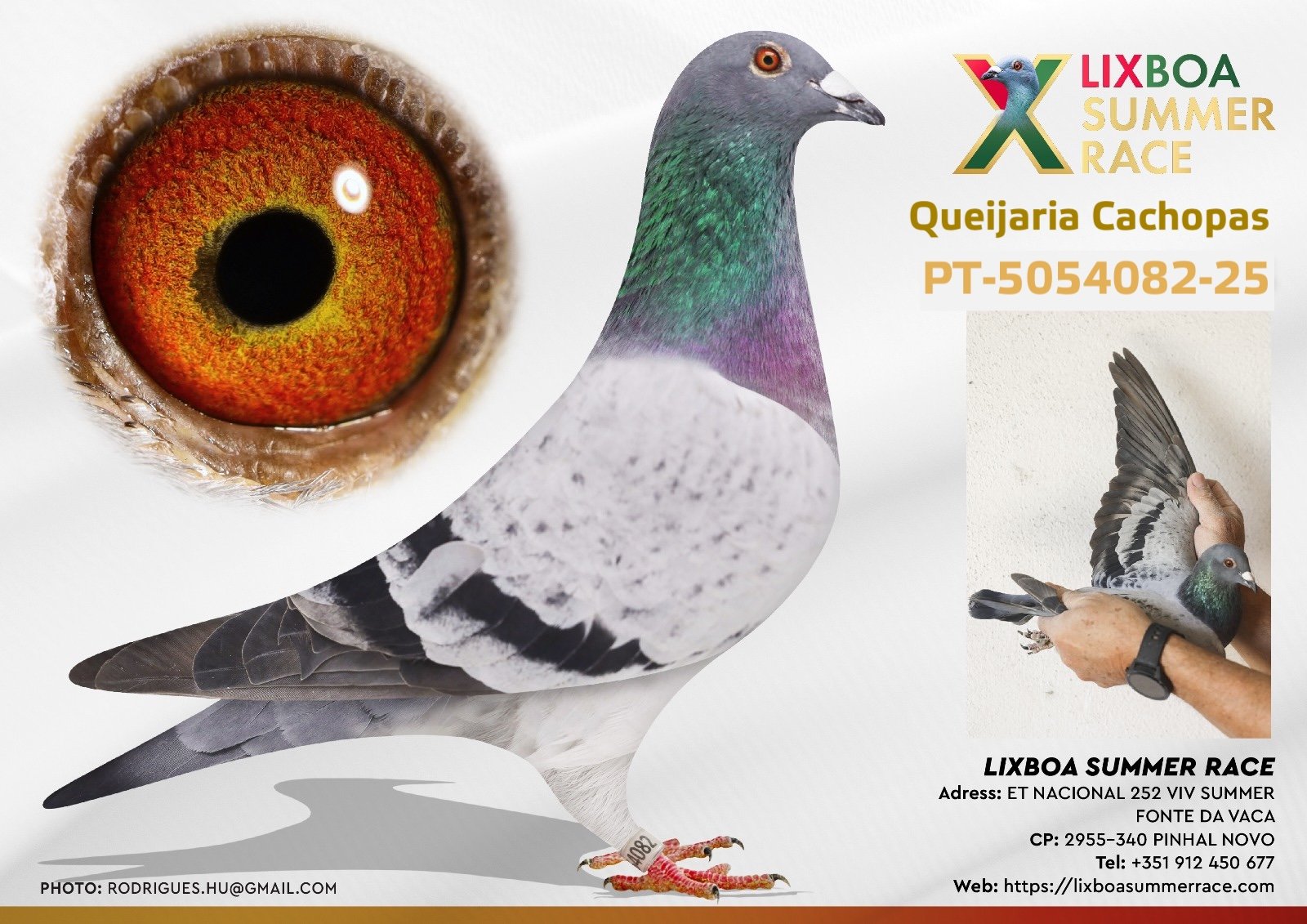 PT-5054082-25 PT-5054082-25 - Image 1