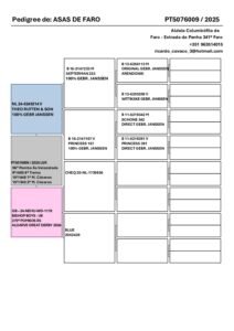 PT-5076009-25 - Image 2