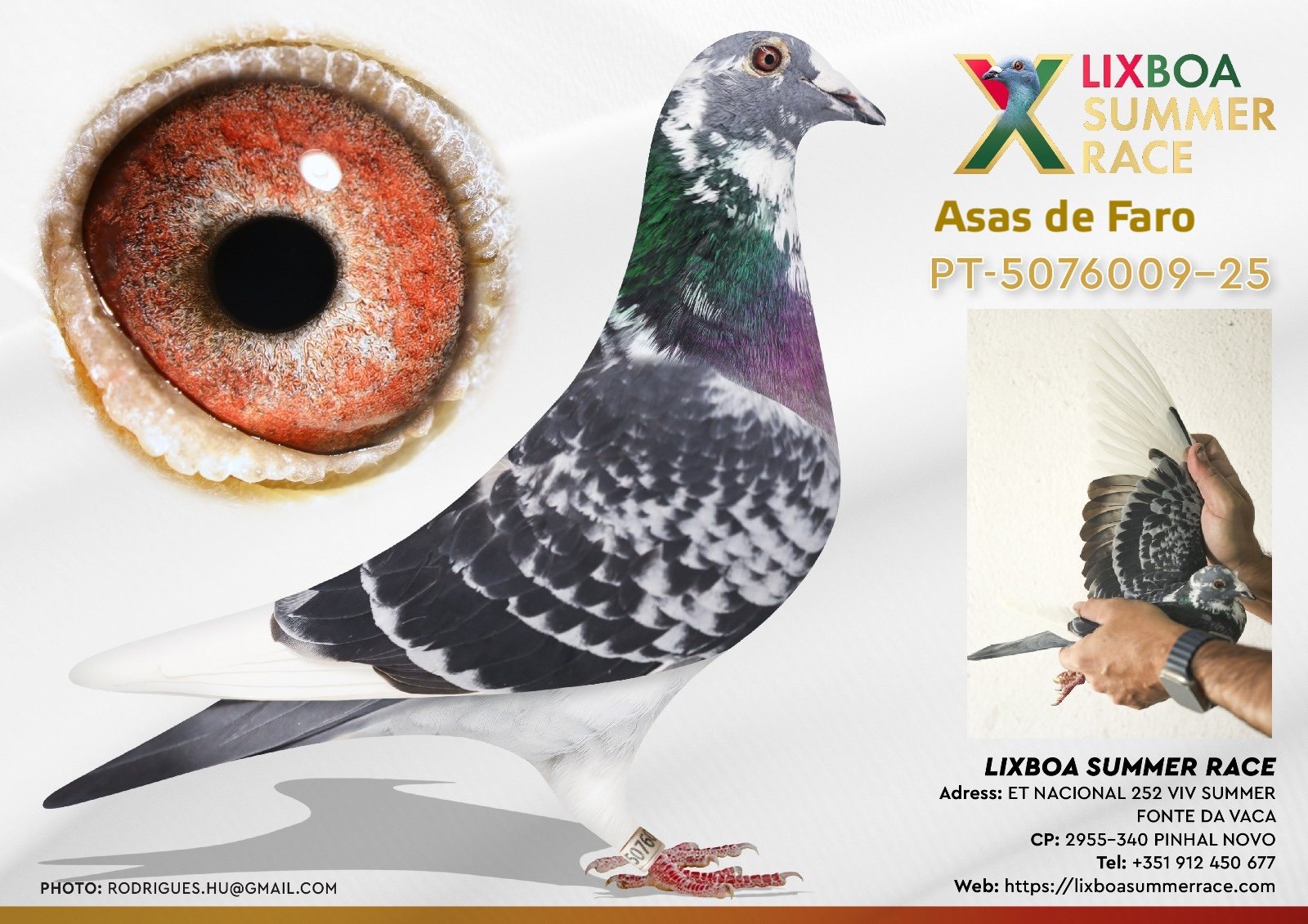 PT-5076009-25 PT-5076009-25 - Image 1