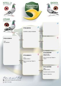 PT-5129918-25 - Image 2