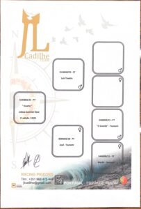 PT-5193883-25 - Image 2