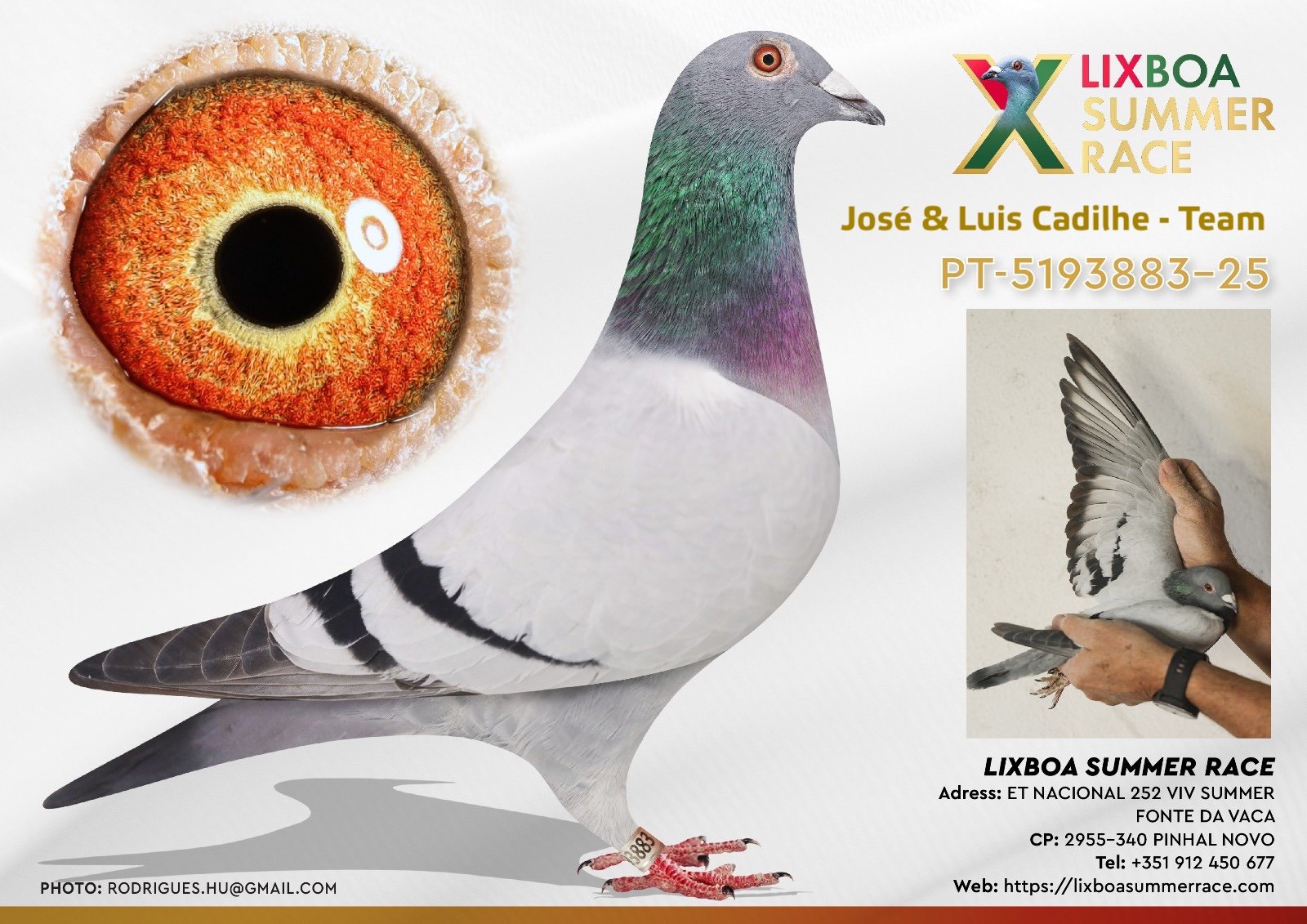 PT-5193883-25 PT-5193883-25 - Image 1