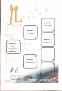 PT-5193892-25 - Image 2