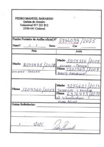 PT-5194039-25 - Image 2