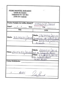 PT-5194042-25 - Image 2