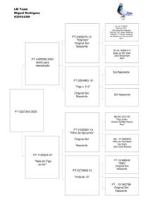 PT-5227343-25 - Image 2