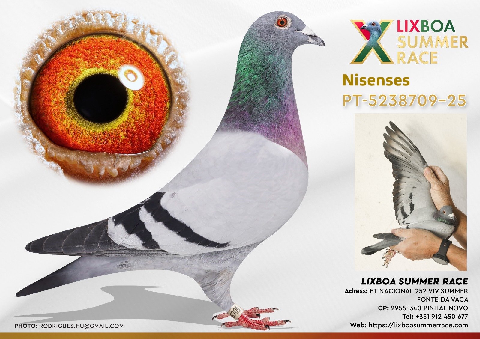 PT-5238709-25 PT-5238709-25 - Image 1